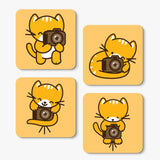 Photographer Kitty – Sukhiaatma Designer Coaster (set of 4)