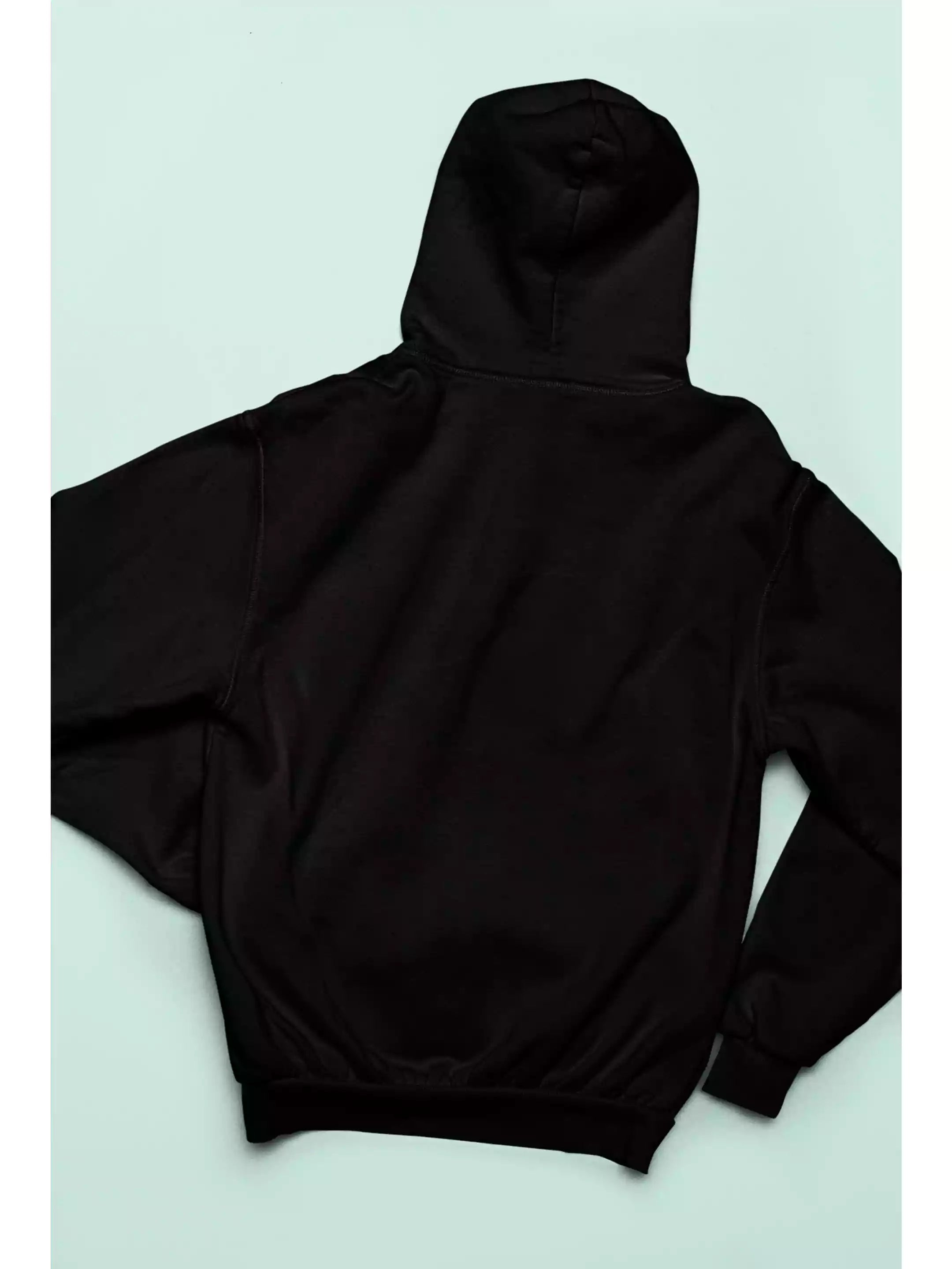 Dashavatar - Dashavatar Official Merchandise Graphic Printed Hoodie